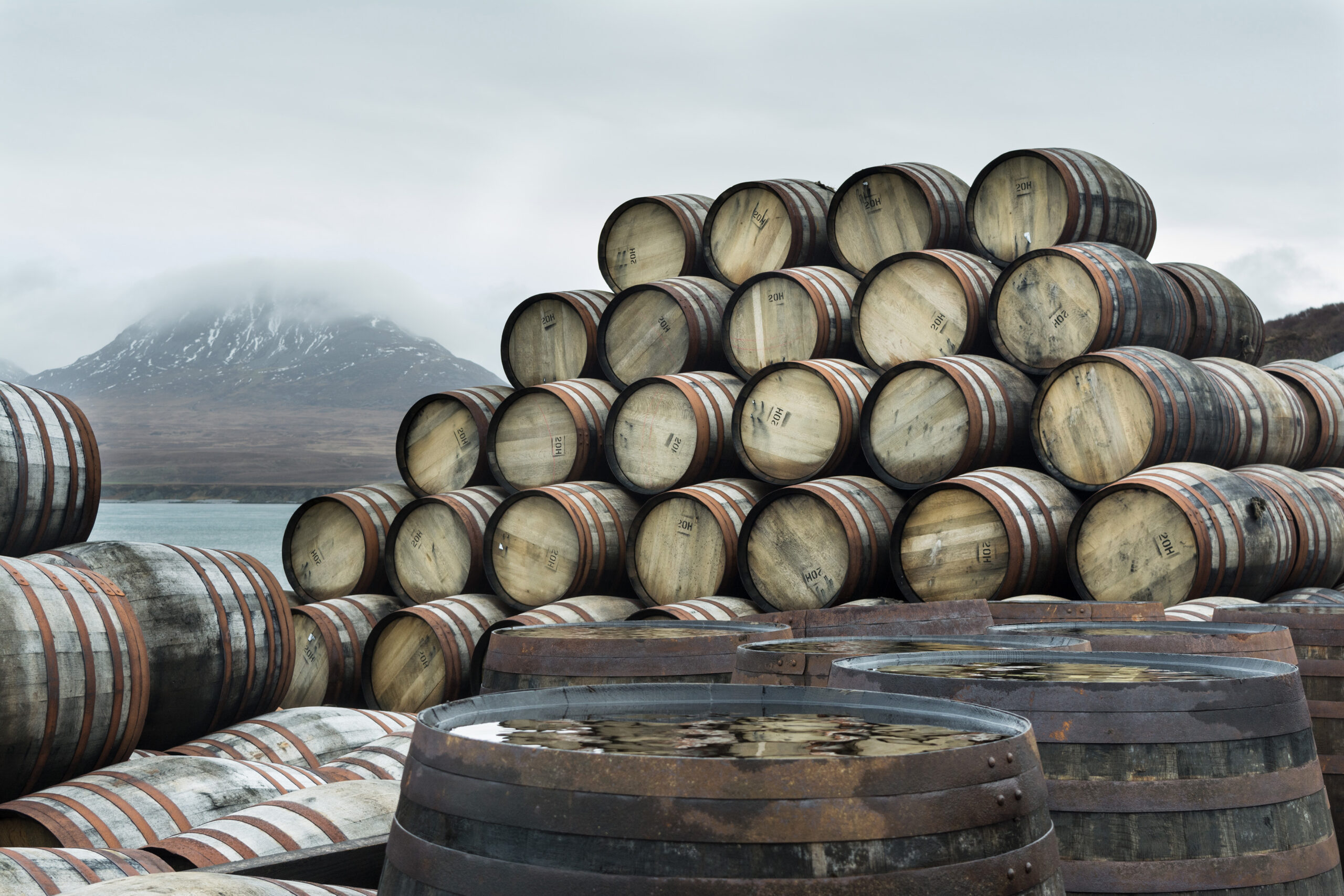 Starling Wines & Spirits - Whisky Collecting
